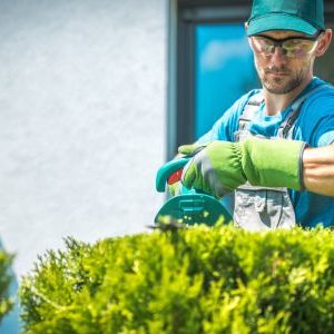 Immagine che mostra un uomo mentre taglia un'aiuola. È usata come immagine del corso gratuito "MANUTENTORE DEL VERDE" del progetto GOL