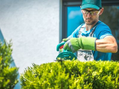 Immagine che mostra un uomo mentre taglia un'aiuola. È usata come immagine del corso gratuito "MANUTENTORE DEL VERDE" del progetto GOL